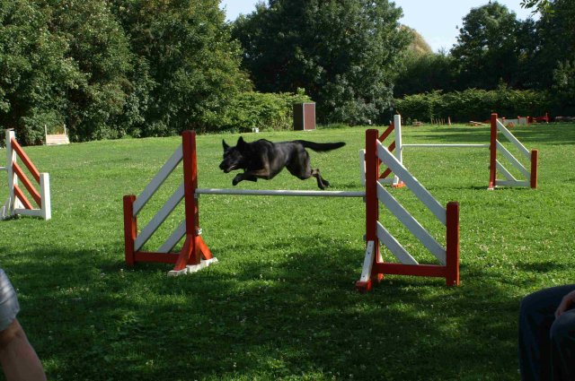 agility 2011-08